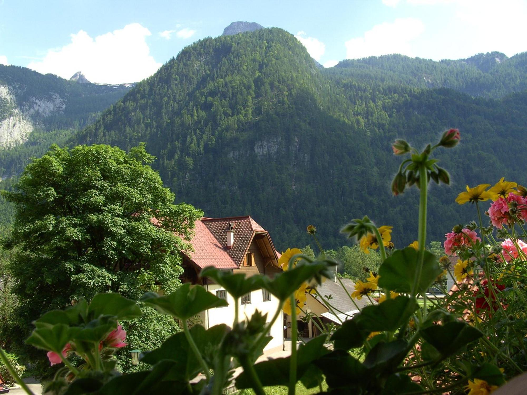 Hotel Haus Alpenrose Obertraun Exterior foto